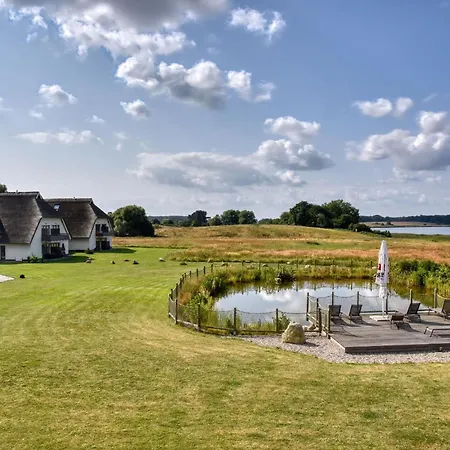 Mantelmöwe 32 Im Wreecher Idyll Rügen By Ruyastay